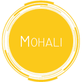 mohali location icon_1